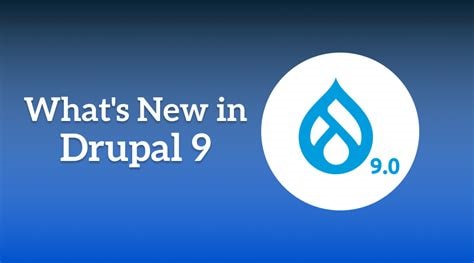 building drupal 9 web applications