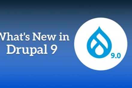 building drupal 9 web applications